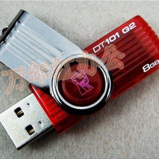金士顿U盘 2.0 G2 101